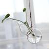Lámpara zakka vidrio calabaza contenedor hidropónico creativo colgante colgante botella flor interior decoración del hogar