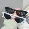 Novos Óculos de Sol Femininos Transfronteiriços Moda Olho de Gato INS Moda Óculos de Sol Moda Proteção Solar