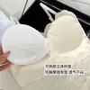 Top Camisola de Encaje Hermoso Espalda Talla Grande para Mujer, Ropa Exterior, Cuello en V, Bandeau, Ropa Interior con Almohadillas en el Pecho, Top Interior de Longitud Media, Moderno