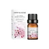 Óleo Essencial de Aromaterapia Solúvel em Água Aroma de Lavanda Purificador de Ar Casa Aromaterapia Sem Chama Líquido de Recarga