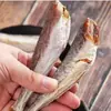 Pescado pelirrojo recién secado, pescado de línea roja, pescado de mar capturado en el mar, pescado salado seco, fábrica mayorista de productos secos del mar