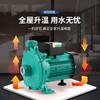 Bomba de circulación de agua caliente y fría horizontal PUN bomba centrífuga pequeña doméstica automática agua de grifo ducha elevadora bomba de tubería