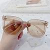 P28300 café arena TR polarizado Gafas de sol plegables protección solar conducción retro moderno protección UV pequeño y fácil de llevar