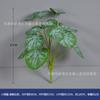 12 Folhas Simulação Verde Planta 18 Folhas Tartaruga Bambu Viajante Banana Ave do Paraíso Pukui Bundle Shopping Mall Modelagem de Paisagem