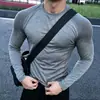 Camiseta atlética de manga larga estilo americano con jacquard sin costuras y estampado de tiburón para hombre, con elasticidad, corte ajustado, tejido transpirable de secado rápido, diseñada para correr y entrenar