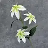 Lirio de Fuego Película de Impresión 3D Flor de Simulación Boda Hogar Hotel Decoración Transfronteriza Adornos de Flores Artificiales Venta al por Mayor