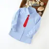 Camisa Azul Puro para Niños Manga Larga Niños Uniforme Escolar Azul para Niñas Camisa de Manga Larga para Niños Stock Listo del Fabricante