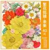 Paquete de Materiales DIY de Flores Secas Flores Prensadas Hechas a Mano Flores Conservadas Marcadores de Libros de Flores Prensadas Hojas de Árbol Real Plantas Pegatinas de Resina Maquillaje Facial