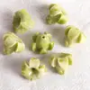 Varios Tipos de Flores Prensadas en Polvo de Concha de Agujero Recto (Flores de ciruelo, Flores de cerezo, Enredaderas de la mañana) Materiales y Accesorios para Accesorios de Cabello Hechos a Mano DIY