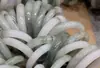Pulsera de Jade Natural Tianshan de Xinjiang, Pulsera de Jade Hielo para Mujeres, Jade de Nieve con Hilo de Oro, No es Jadeíta, Adecuado como Regalo para Jóvenes