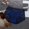 Calzones de Encaje Sexy Sin Costuras Transparentes con Patrón de Cintura Media para Mujer Algodón Cómodo Transpirable Levanta Glúteos Calzones para Niñas