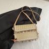 Bolsos para Mujer 2025 Verano Nuevo Estilo Bolso de Paja Elegante Cadena Hombro Bandolera Personalizado Vacaciones en la Playa Bolso Cuadrado Pequeño