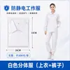 Roupa Dividida Antiestática de Manga Comprida para Oficina Roupa Estática Livre de Pó Respirável Masculina e Feminina Roupa de Proteção Roupa Dividida Antiestática