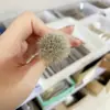 Pincel para Colorete de Color Punto de Lana Cangzhou Pelo Animal Súper Suave Grande Borde Chispeante Sin Bordes Iluminador Ajuste Atmósfera Natural