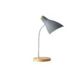 Lámpara de pesca dorada, minimalista post-moderna nórdica para sala de estar, lámpara de mesita de sofá de alta gama, lámpara de pie de pesca de hierro