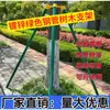 Soporte para Árboles Poste de Soporte para Jardinería Poste Grande de Metal Tubo de Acero Galvanizado Abrazadera Fijadora a Prueba de Viento Color Pintura al Horno