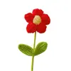 Pequeño Ramo de Flores Rojas para el Día de San Valentín, un Regalo Creativo Tejido a Mano de Lana, Producto Terminado, Pieza Única para Ti