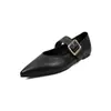 Zapatos Mary Jane de Piel de Oveja con Hebilla Estilo Europeo Patrón de Pitón Otoño 2026 Tacón Bajo Grueso Hebilla Cuadrada Puntera Puntiaguda Piel Genuina Zapatos para Mujer
