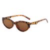Gafas de Sol Ovaladas de Marco Pequeño de Moda Europea y Americana de Rain, Gafas de Sol Personalizadas de Color Jalea, Gafas de Sol de Moda Transfronteriza