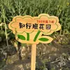 Etiquetas para Plantas de Jardín de Madera Maciza, Señales de Suelo de Madera, Señales Indicadoras para Exteriores, Señales de Aviso para Huertos Escolares de Jardín de Infancia