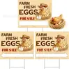 Letrero de Huevos Frescos de Granja Estilo Nuevo Transfronterizo Hecho de Material Plástico Corrugado para Venta de Huevos Rurales y Publicidad en el Patio
