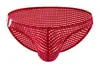 Estilo Celebridad de Internet Coreana y Japonesa Transpirable para Hombre Malla Sexy Moda Gay Calzoncillos de Tiro Bajo E-096