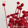Flor Eterna Bola Dourada