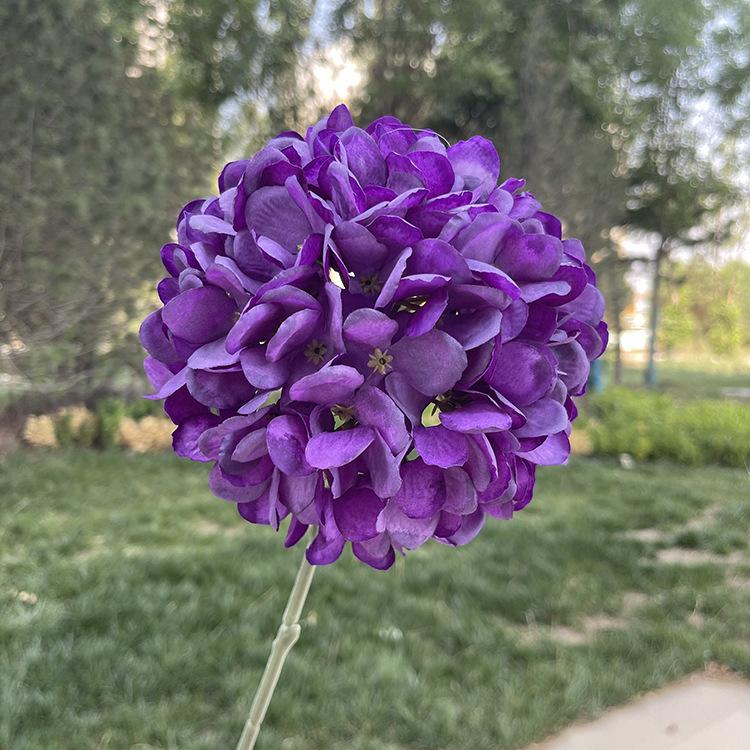 单支油画绣球-紫色.JPG