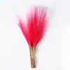 Simulação Cana 55cm Cana de Pop Artificial Flor Falsa Decorações para Casa Flor de Simulação Transfronteiriça Atacado Capim dos Pampas