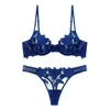 Conjunto de lencería de alta gama estilo francés con bordado floral tridimensional para mujer, conjunto de sujetador con aros sexy de malla ultradelgada transparente