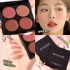 Placa de rubor de cuatro colores Mingxizhi muestra maquillaje nude blanco maquillaje de baja saturación rubor sombra de ojos placa de un plato multiusos crema para mujer transfronterizo