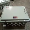 Bjx51-16/10 Bloque de terminales tipo a prueba de explosiones Caja de control a prueba de explosiones Caja de distribución a prueba de explosiones Wri a prueba de explosiones