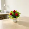 Nova Bacia de Lingotes Chineses 5 Pequenos Frutos Bonsai Festival da Primavera Presente de Ano Novo Planta em Vaso Decoração de Casa Fruta da Fortuna Ornamento