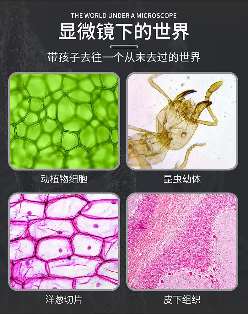 科学显微镜_04.jpg