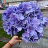 2025 Nueva Boda Morada Flor Artificial Bola de Cebolla Verde Nieve Iris Hierba Golondrina Voladora Orquídea Flor Artificial de Boda Venta al por Mayor