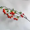 Simulação Fruta Falsa Adereços de Tiro Galho Acessórios Decoração Layout de Cena Decoração Simulação Fruta Modelo de Fruta Falsa