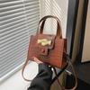 Bolso Nuevo para Mujer Primavera y Verano 2026 Patrón de Piedra Textura de Moda Bolso de Hombro Cruzado Bolso de Mano de Nicho Bolso Kelly Moderno