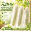 Bolsas de Tela No Tejida para Frutas y Verduras a Prueba de Insectos, Calabaza Amarga, Lufa, Pepino, Melón de Cuernos, Protección Anti-Picadura de Abejas, Anti-Moscas, Bolsas para Verduras