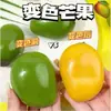 50g pato asado grande que cambia de color pellizca música TPR transparente pellizca música rebote lento juguete de descompresión que cambia de color