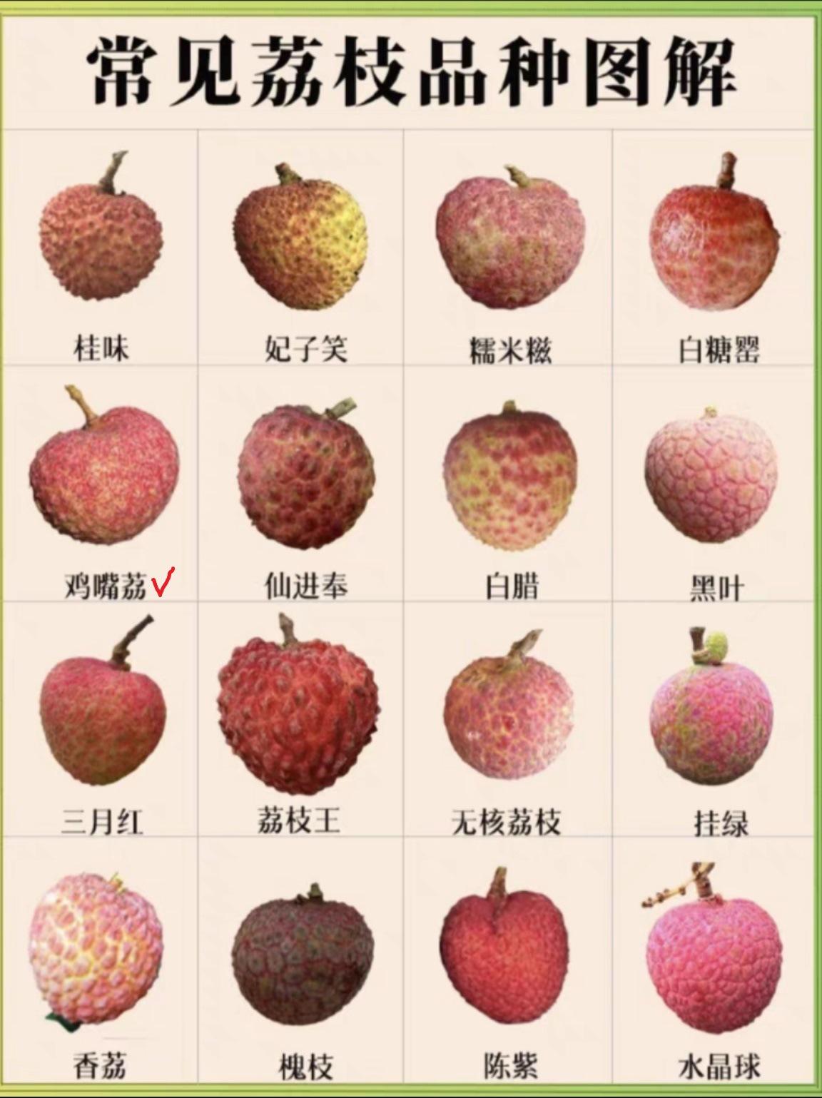 e21d1f19b447fd57bd7c92f53891af