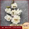 Decoração de Casamento com Flores Brancas, Peônias, Phalaenopsis, Rosas, Arranjos Florais de Teto e Arranjos Florais Pretos para o Salão de Casamento