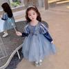 Outono e Inverno 2026 Vestido Princesa Elsa Vestido de Menina Frozen Menininha Aniversário Vestido de Tule com Mangas Bufantes