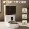 Comedouro Automático para Pets 4L Graffiti Inteligente APP Remoto WiFi com Gravação Vedado para Manter Fresco Comedouro para Gatos e Cachorros