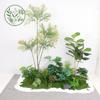 Paisajismo de Plantas Verdes Paisajismo de Balcones Decoración de Plantas Artificiales para Interiores y Exteriores Planta Viajera Plátano Espalda de Tortuga Planta Debajo de las Escaleras Paisajismo