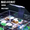 Luz para acuario LED luz de acuario pequeña iluminación de bajo consumo luz mini con clip tanque de plantas acuáticas luz suplementaria para acuario