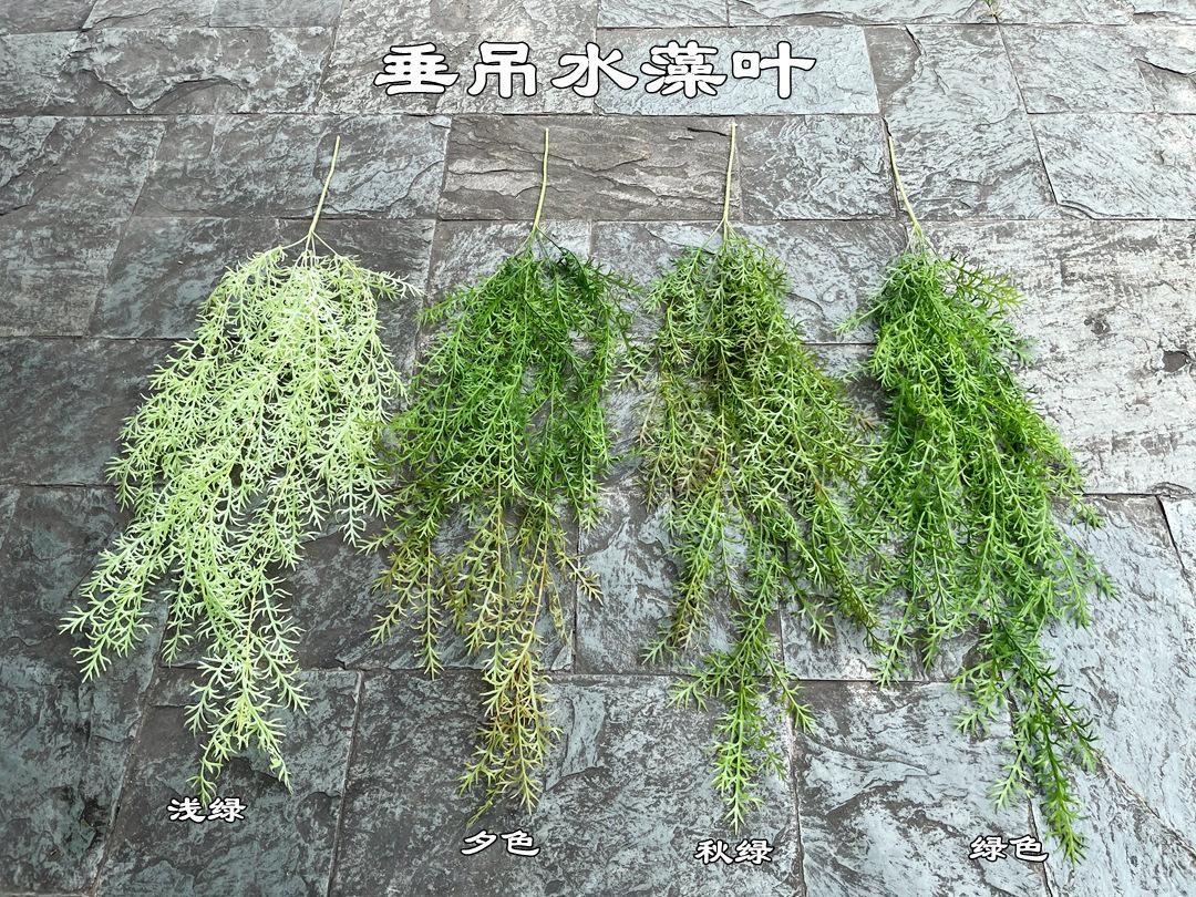 微信图片_20210712123504_副本.jpg
