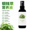 Solución Nutritiva para Hierba Moneda de Cobre, Universal para Plantas Hidropónicas, Promueve la Germinación, Previene el Amarillamiento de las Hojas, Fortalece las Raíces, Solución Nutritiva Especial al por Mayor