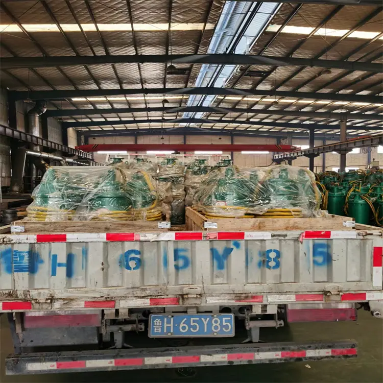 BQS220-70-90/N潜水泵 立式 整机潜水 矿用BQS泵