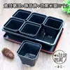 Nueva Caja para Plántulas Maceta Adecuada para Combinación Negra Cuadrada Plantación Caja para Plántulas de Suculentas Maceta para Suculentas Siembra y Plantación