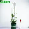Enrejado para Plantas Trepadoras Estructura de Soporte para Jardinería Plantas Verdes de Balcón Rosa Clemátide Planta Enredadera Flor Planta Soporte para Flores Trepadoras